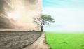 Robeco to roll out climate resilience scores to drive allocation decisions